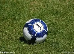 奥运三人篮,球名额短期,内不增,宝威体育平台,宝威体育官方网站,宝威体育登录入口,宝威体育app下载